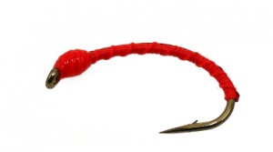 Bloodworm